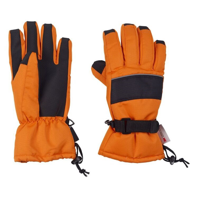 Winter Gloves